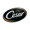 Cesar-西莎